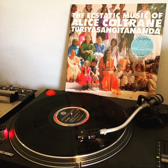 Meet your Posher, Wendell - I’m a fun guy! - Picture 4 of 8